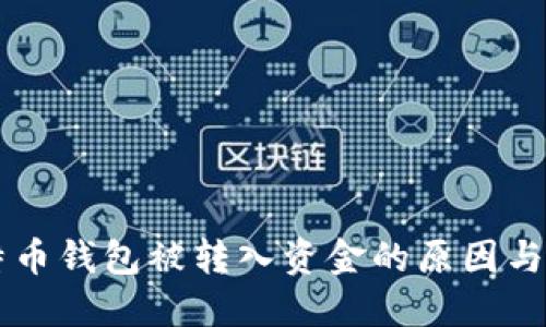 骨肥比特币钱包被转入资金的原因与应对指南