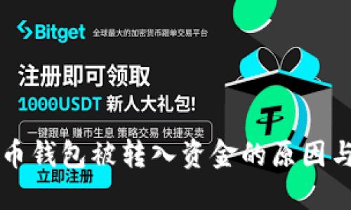 骨肥比特币钱包被转入资金的原因与应对指南