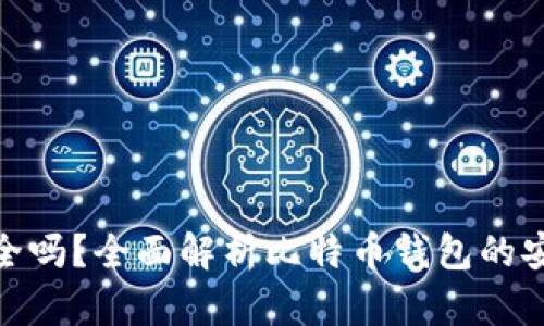 存比特币钱包安全吗？全面解析比特币钱包的安全性与防护措施