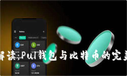 全面解读：Pul钱包与比特币的完美结合