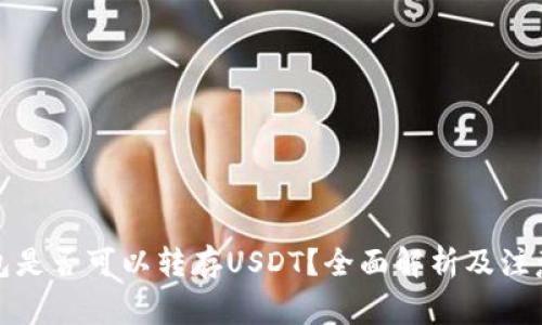 冷钱包是否可以转存USDT？全面解析及注意事项