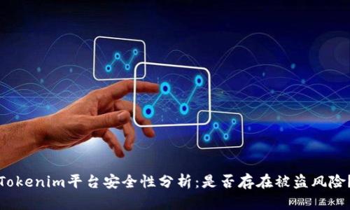 Tokenim平台安全性分析：是否存在被盗风险？