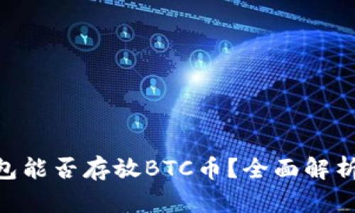 Tokenim钱包能否存放BTC币？全面解析及实用指南