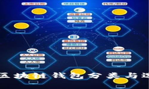 常见的区块链钱包分类与选择指南