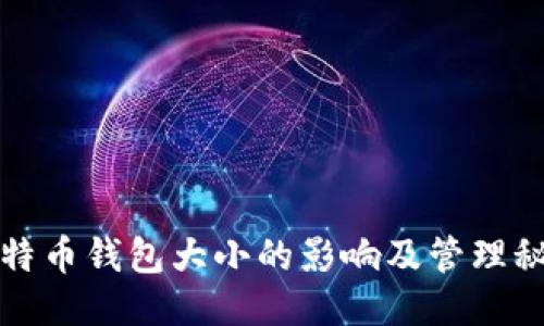 比特币钱包大小的影响及管理秘诀