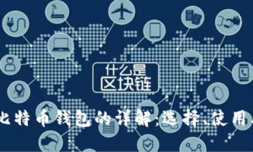 briaoti比特币钱包的详解：选择、使用及安全性
