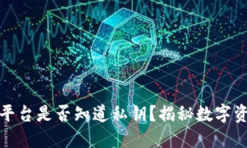 区块链钱包平台是否知道私钥？揭秘数字资产安全之道