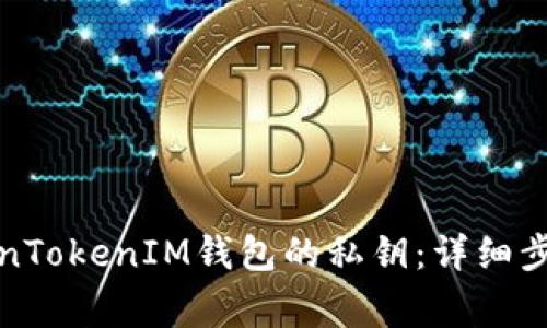 如何导入TokenTokenIM钱包的私钥：详细步骤与注意事项