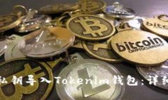 : 如何用私钥导入Tokenim钱