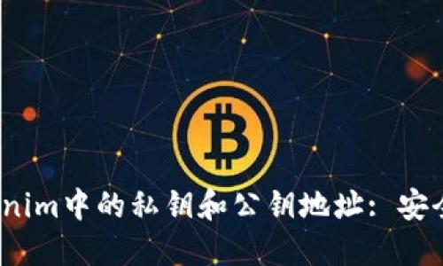 深入理解Tokenim中的私钥和公钥地址: 安全性与实用性 