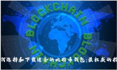 如何选择和下载适合的比