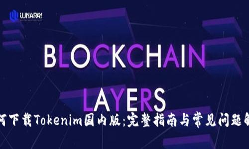 如何下载Tokenim国内版：完整指南与常见问题解答