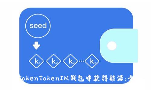如何在TokenTokenIM钱包中获得能源：全面指南