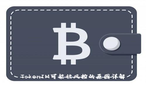 TokenIM可能被风控的原因详解